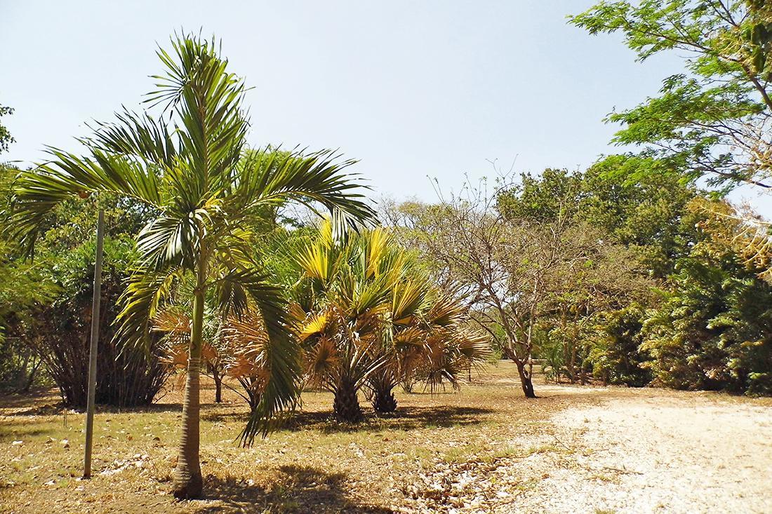 Hotel Rio Tempisque Nicoya Dış mekan fotoğraf